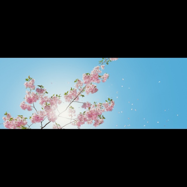 Poshmark banner for @atx